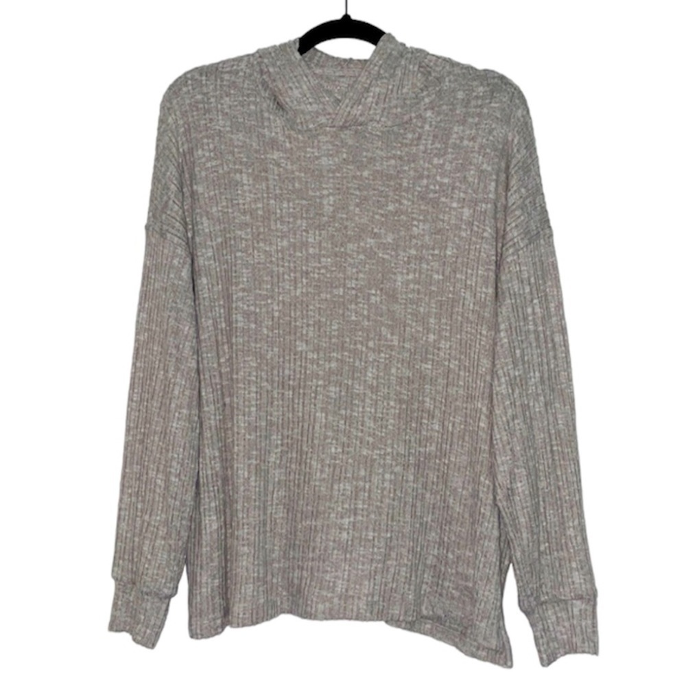 American Eagle Outfitters Hoodie Sweater